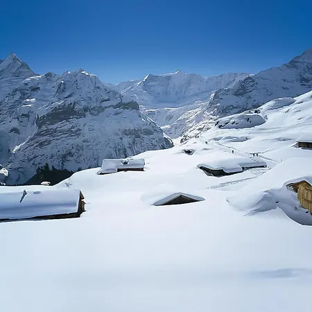 Bienli-2 By Interhome Apartment Grindelwald