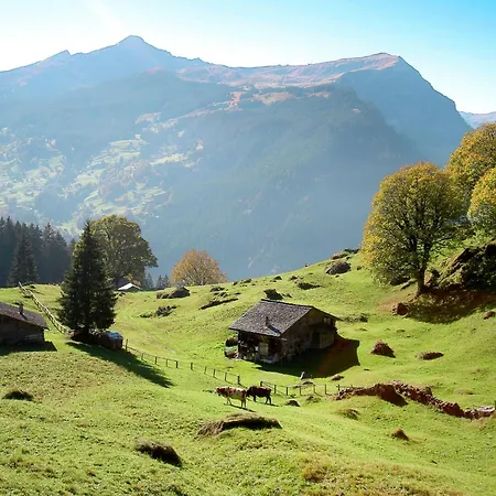 Bienli-2 By Interhome Apartment Grindelwald
