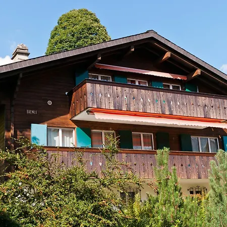 Bienli-2 By Interhome Apartment Grindelwald
