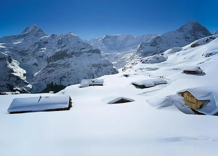 Bienli Oben By Interhome Apartment Grindelwald