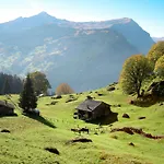Bienli Oben By Interhome Appartement Grindelwald