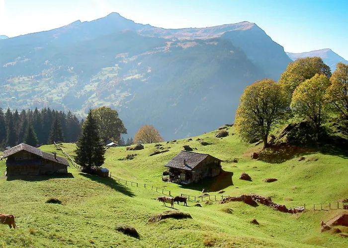 Bienli Oben By Interhome Appartamento Grindelwald